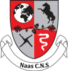 Naas Community National School